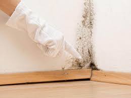 Mold Remediation for Rental Properties in Waelder, TX